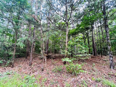 WOODED AREA