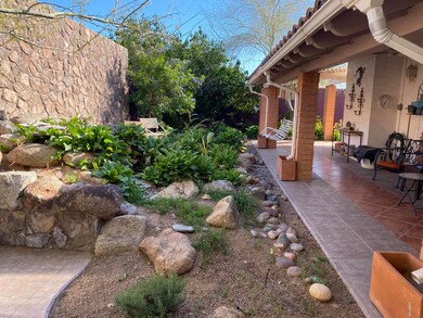 Lush garden