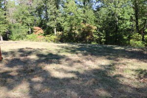 1494 Wolf Springs Rd, Harrison, AR 72601 - photo 3