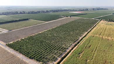 787 W Sutter Island Cross Rd, Courtland, CA 95615 - photo 5