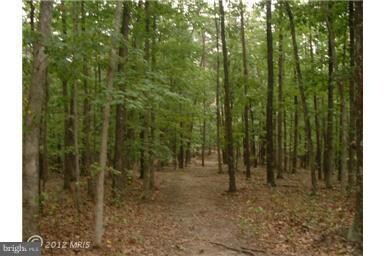 15 Pack Horse Rd, Cross Junction, VA 22625 - photo 2