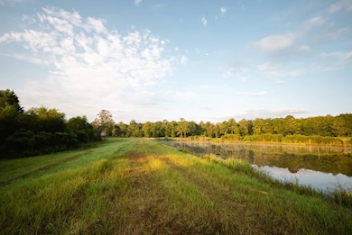 15816 Roberts Rd, Opp, AL 36467 - photo 3