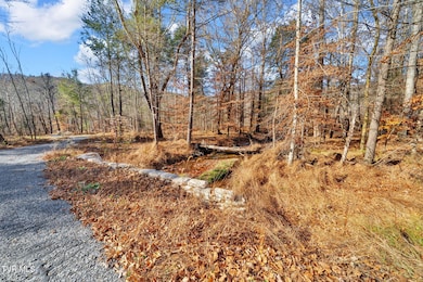 Tbd McInturff Springs Rd, Erwin, TN 37650 - photo 4