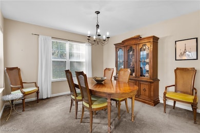 10240 Orchard Hill Ln unit I23, Twinsburg, OH 44087 - photo 5