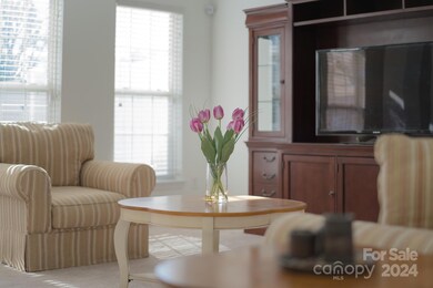 218 Sigel Dr, Fort Mill, SC 29715 - photo 7