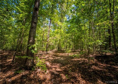 5781 Moore Creek Rd, Powhatan, VA 23139 - photo 3