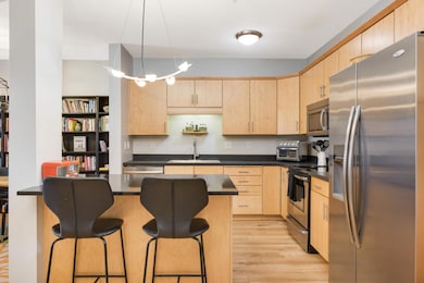 301 Oak Grove St unit 205, Minneapolis, MN 55403 - photo 5