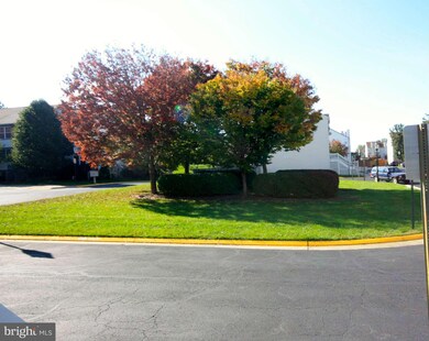 310 Mcdaniel Dr, Purcellville, VA 20132 - photo 6