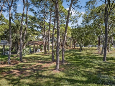 2001 62nd Ave S, St. Petersburg, FL 33712 - photo 5