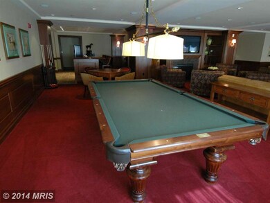 The Ritz-Carlton Residences unit 263, Baltimore, MD 21230 - photo 5