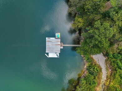 368 County Road 193, Crane Hill, AL 35053 - photo 6