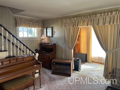 56401 Laurium St, Calumet, MI 49913 - photo 6