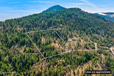 12_DJI_20250415051609_0028_D_M3PRO copy1