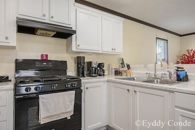 565 Sluyter St SE, Grand Rapids, MI 49548 - photo 6