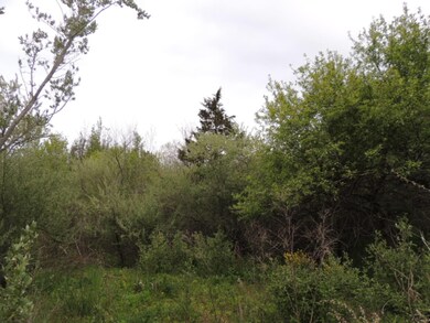 0 68th St, South Haven, MI 49090 - photo 4