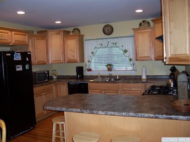 1283 Sleepy Hollow Rd unit B34, Athens, NY 12015 - photo 7