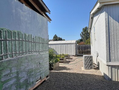 agape shed
