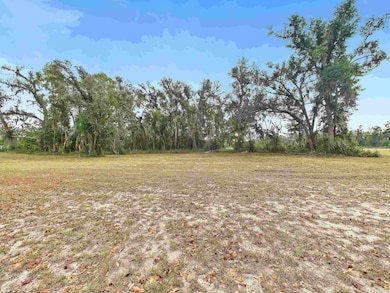 Vacant Marshall Dr, Perry, FL 32347 - photo 6