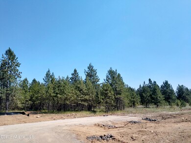 L2B1 N Sheep Springs Rd, Athol, ID 83801 - photo 7