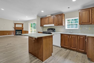 40 Gum Drop Loop, Houston, AR 72070 - photo 4