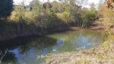 Spring fed pond on property!