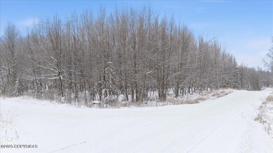 000 Oxford Ave, Kalifornsky, AK 99669 - photo 7