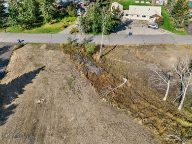 Lot 3 Baldy Mountain Ln, Belgrade, MT 59714 - photo 7