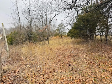 000 Primrose Ln, Clever, MO 65631 - photo 6