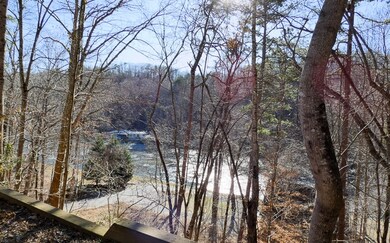 Additional View