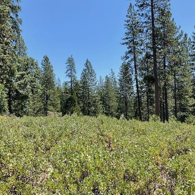 1943 Lightning Ln, Arnold, CA 95223 - photo 2