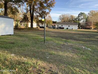 Backyard2