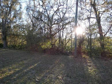 00 SW 215th Court Rd, Dunnellon, FL 34431 - photo 4