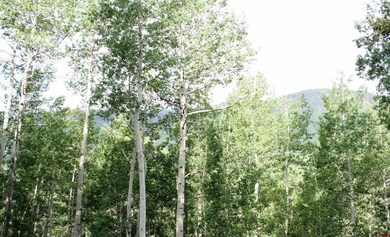 Lots 13 & 14 S Silver St, Rico, CO 81332 - photo 3