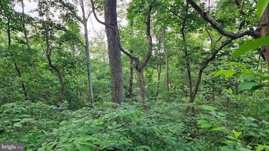 50 Oak Ridge Trail, Carroll Valley, PA 17320 - photo 3