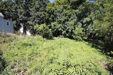 41 Woodville St, Boston, MA 02119 - photo 5