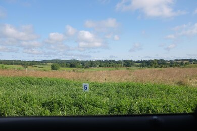 43 Turkey Loop, East Bernstadt, KY 40729 - photo 6