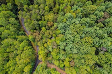 695 Satsuma Ct, Ellijay, GA 30540 - photo 3