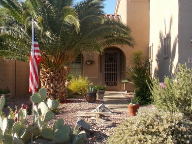 Hernfront