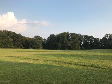 IMG_0564