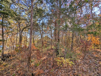 Lot 69&70 Bluebird Rd, Merriam Woods, MO 65740 - photo 3