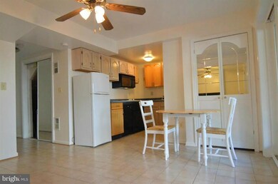 306 E Marshall St unit LOWER, Middleburg, VA 20117 - photo 3