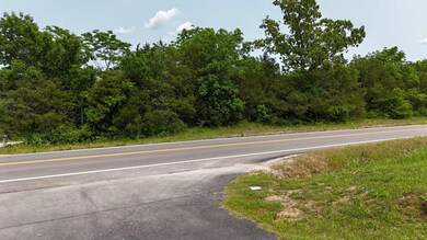 000 State Hwy 86, Eagle Rock, MO 65641 - photo 4