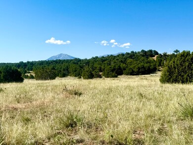 IMG_7643