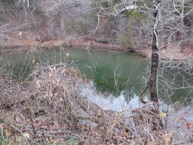 0 Lakeshore Dr unit 60154408, Kimberling City, MO 65686 - photo 4