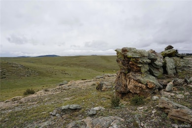 0 High Dr unit REC5498125, Hartsel, CO 80449 - photo 3