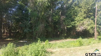 14044 Bent Trail, Tyler, TX 75707 - photo 2