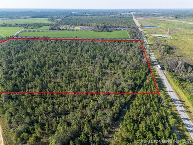 0 Rhonda Coleman Rd, Hazlehurst, GA 31539 - photo 7