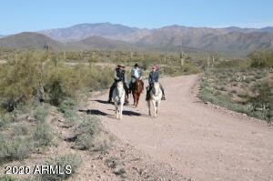 Horses Permitted - County
