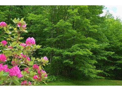 283 Poocham Rd, Westmoreland, NH 03467 - photo 3