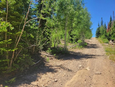 Subdivision Road & Lot
